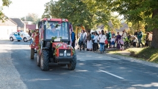 szüreti felvonulás