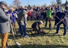 550 facsemete a jövőért Devecserben