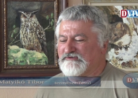 Matyikó Tibor - Barátom a természet című kiállítása