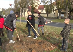 10 MILLIÓ FA - Faültetés Devecserben