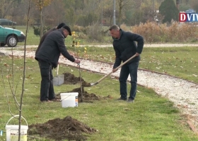 Elkezdődött a Tündérkert kialakítása az Emlékparkban