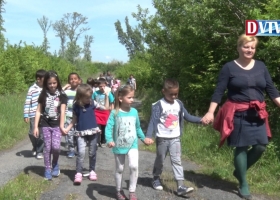 Madárgyűrűzési bemutató és állatsimogató
