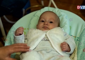 Gyümölcsfákat ültettek a devecseri védőnők tiszteletére